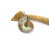 Pendentif en pierre motif escargot Ammonite