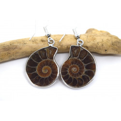 Boucles d'oreilles ammonite